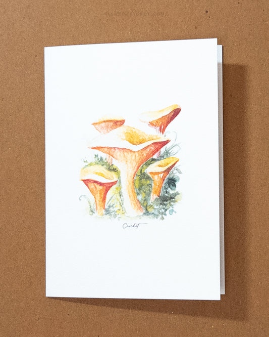 Mushroom Greeting Card Variety Pack