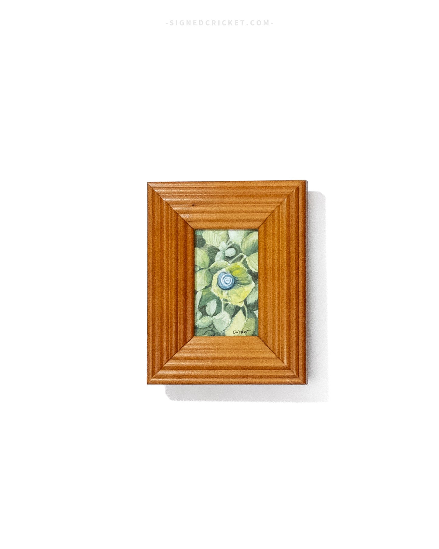 Sleeping Snail | Framed Watercolor Original