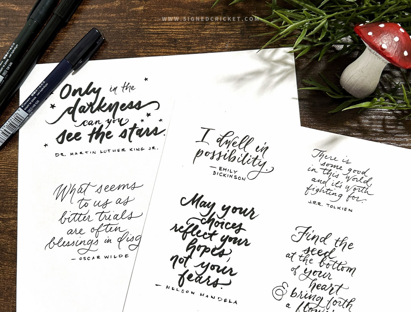 Calligraphy for Beginners | Live Workshop