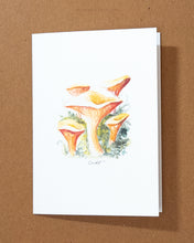 Load image into Gallery viewer, Mushroom Greeting Card Variety Pack
