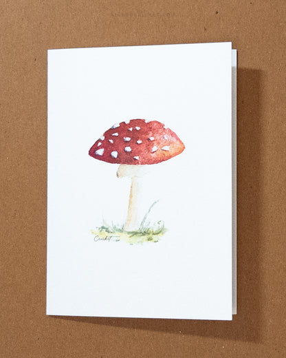 Mushroom Greeting Card Variety Pack