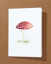 Load image into Gallery viewer, Mushroom Greeting Card Variety Pack
