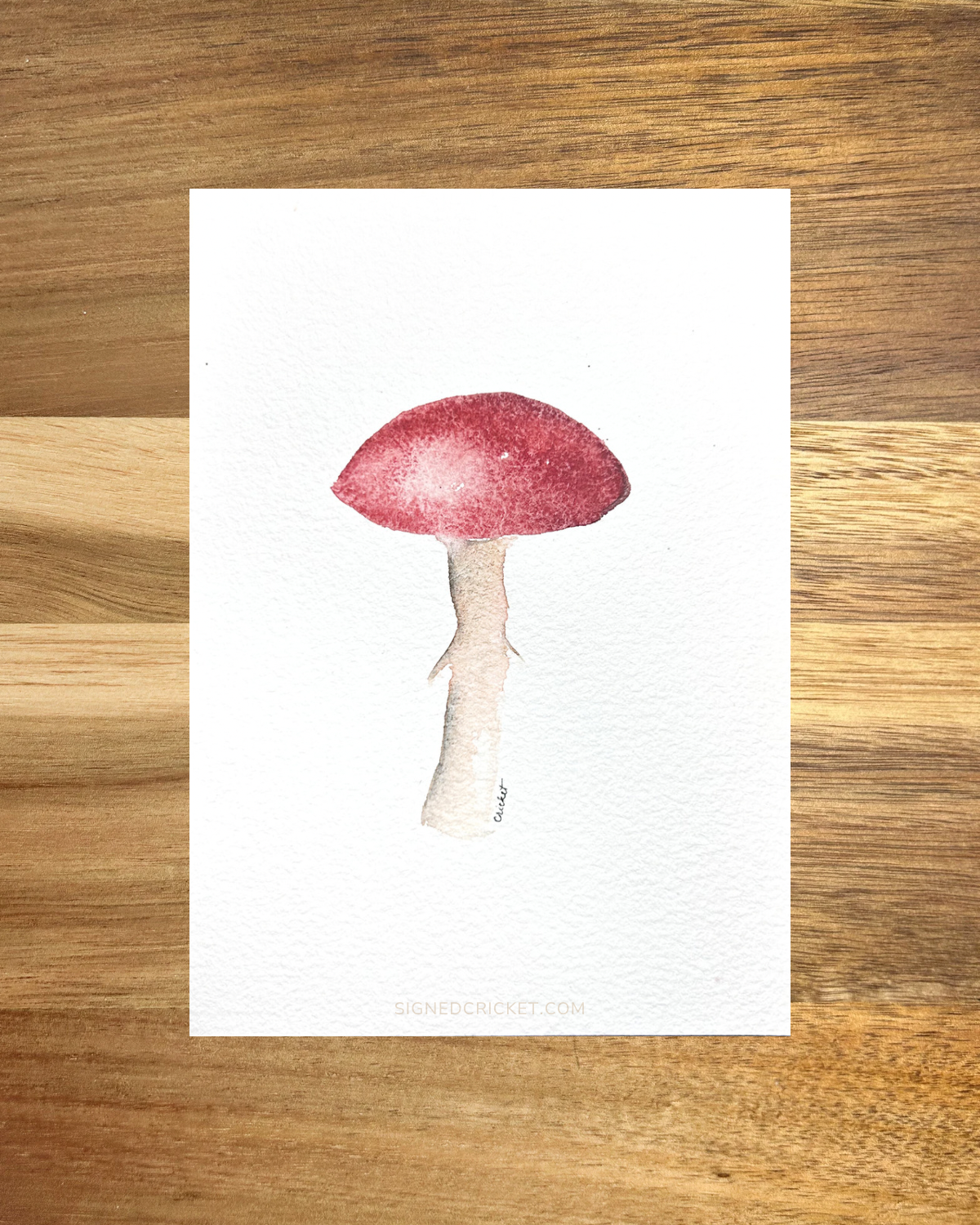Lone Mushroom | 4x6 | Watercolor Original