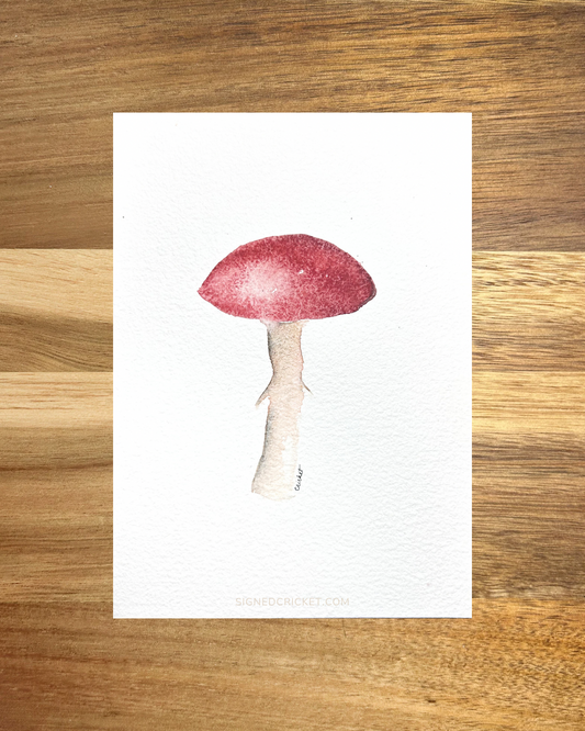 Lone Mushroom | 4x6 | Watercolor Original