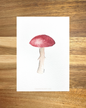 Lone Mushroom | 4x6 | Watercolor Original