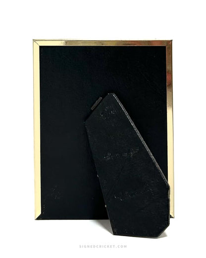 Wild Enoki Collage 3D | Framed Watercolor Original