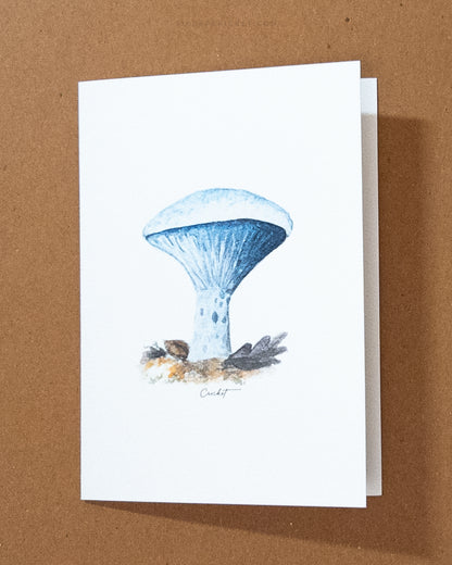Mushroom Greeting Card Variety Pack