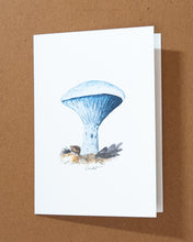 Load image into Gallery viewer, Mushroom Greeting Card Variety Pack
