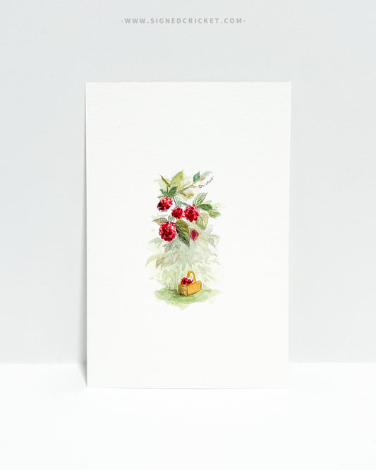 Out for Raspberries | 4 x 6 | Watercolor Original