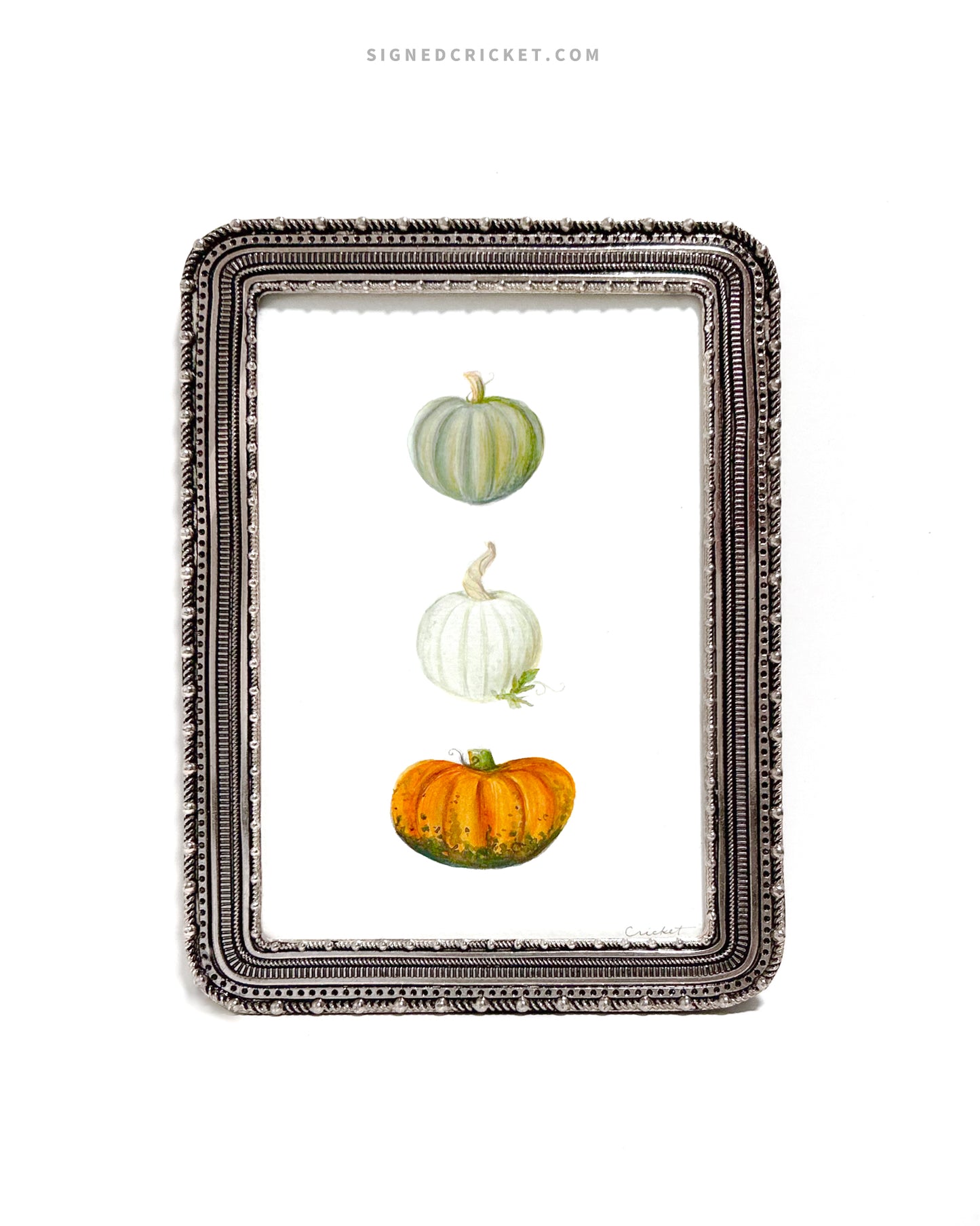 Pumpkin Trio  | 5 x 7 | Watercolor Original