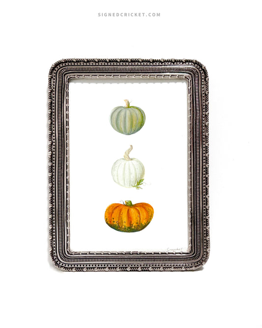 Pumpkin Trio  | 5 x 7 | Watercolor Original