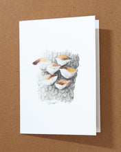 Load image into Gallery viewer, Mushroom Greeting Card Variety Pack
