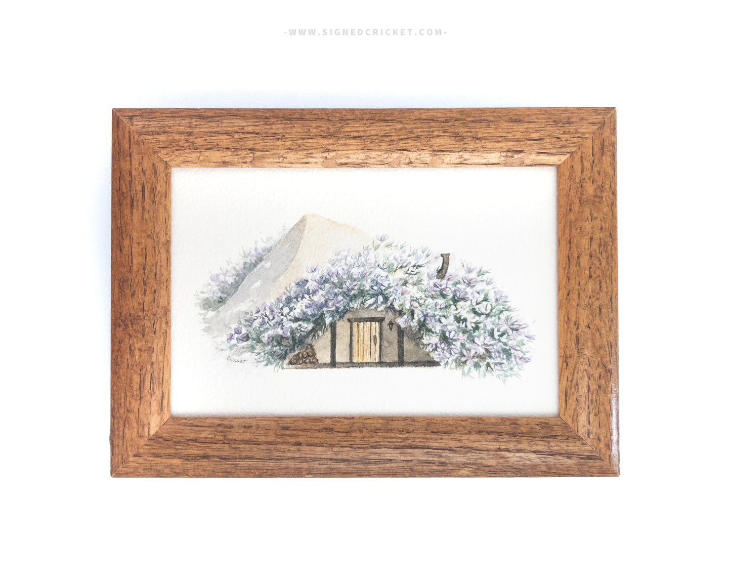 Miniature World | Tiny Framed Watercolor Vignettes