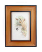 Miniature World | Tiny Framed Watercolor Vignettes
