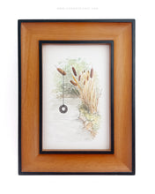 Load image into Gallery viewer, Miniature World | Tiny Framed Watercolor Vignettes
