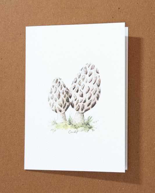 Morel Mushroom Watercolor Greeting Card