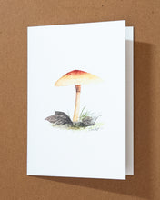 Load image into Gallery viewer, Mushroom Greeting Card Variety Pack
