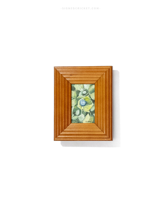 Sleeping Snail | Framed Watercolor Original
