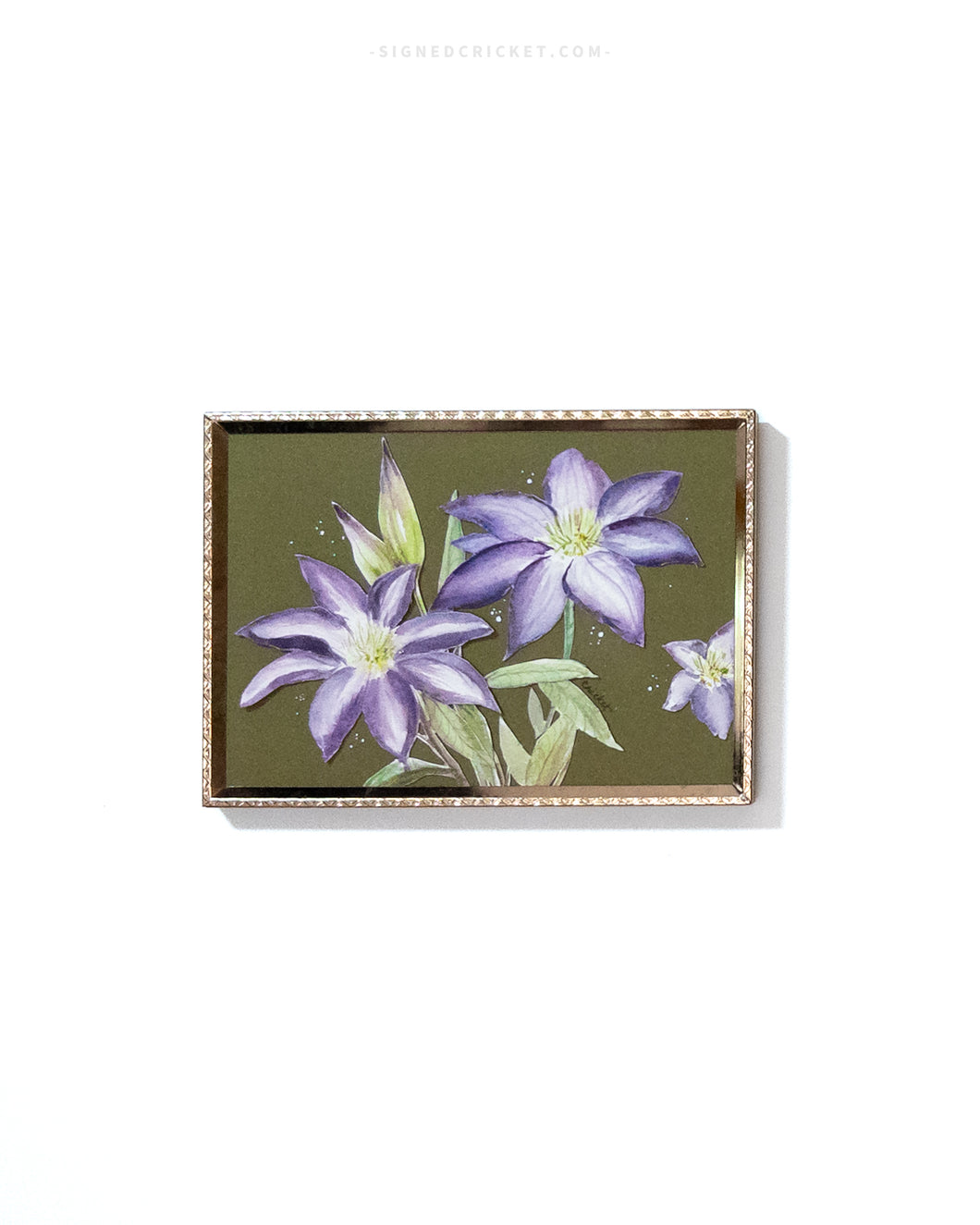 Clematis | Framed Watercolor Original