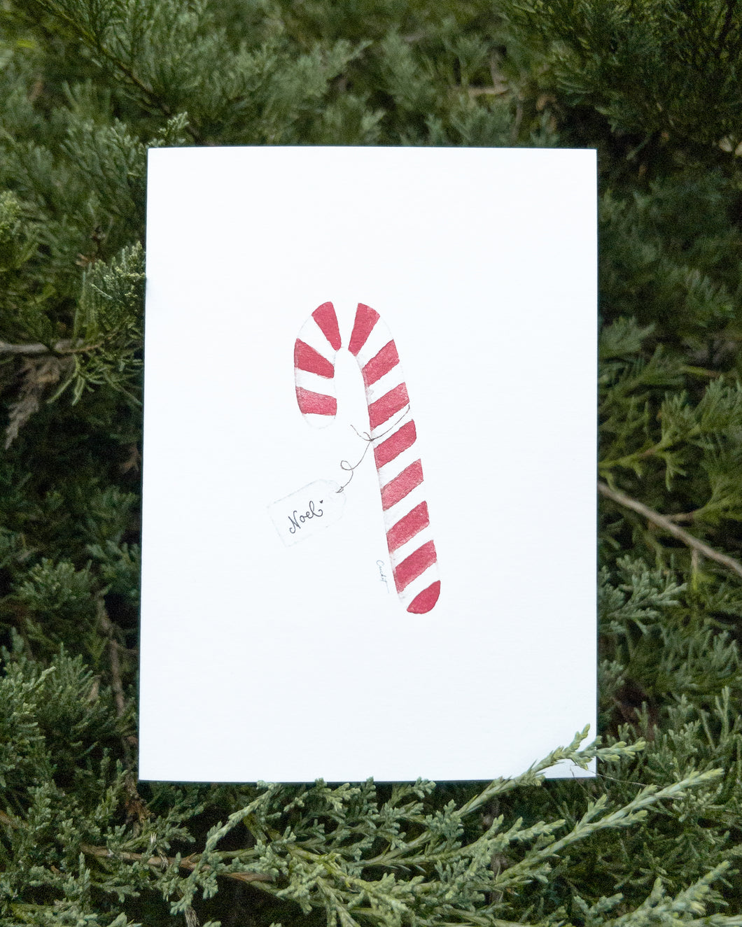 Candy Cane Watercolor Greeting Card