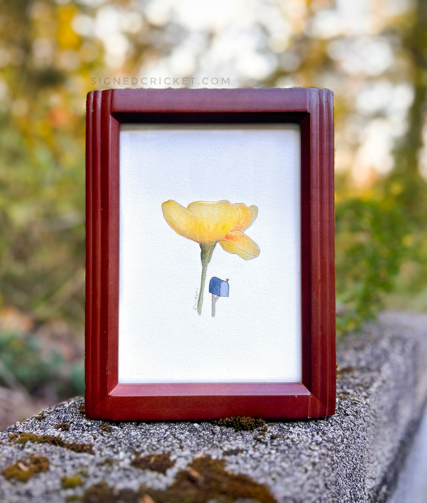Miniature World | Tiny Framed Watercolor Vignettes