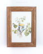 Miniature World | Tiny Framed Watercolor Vignettes