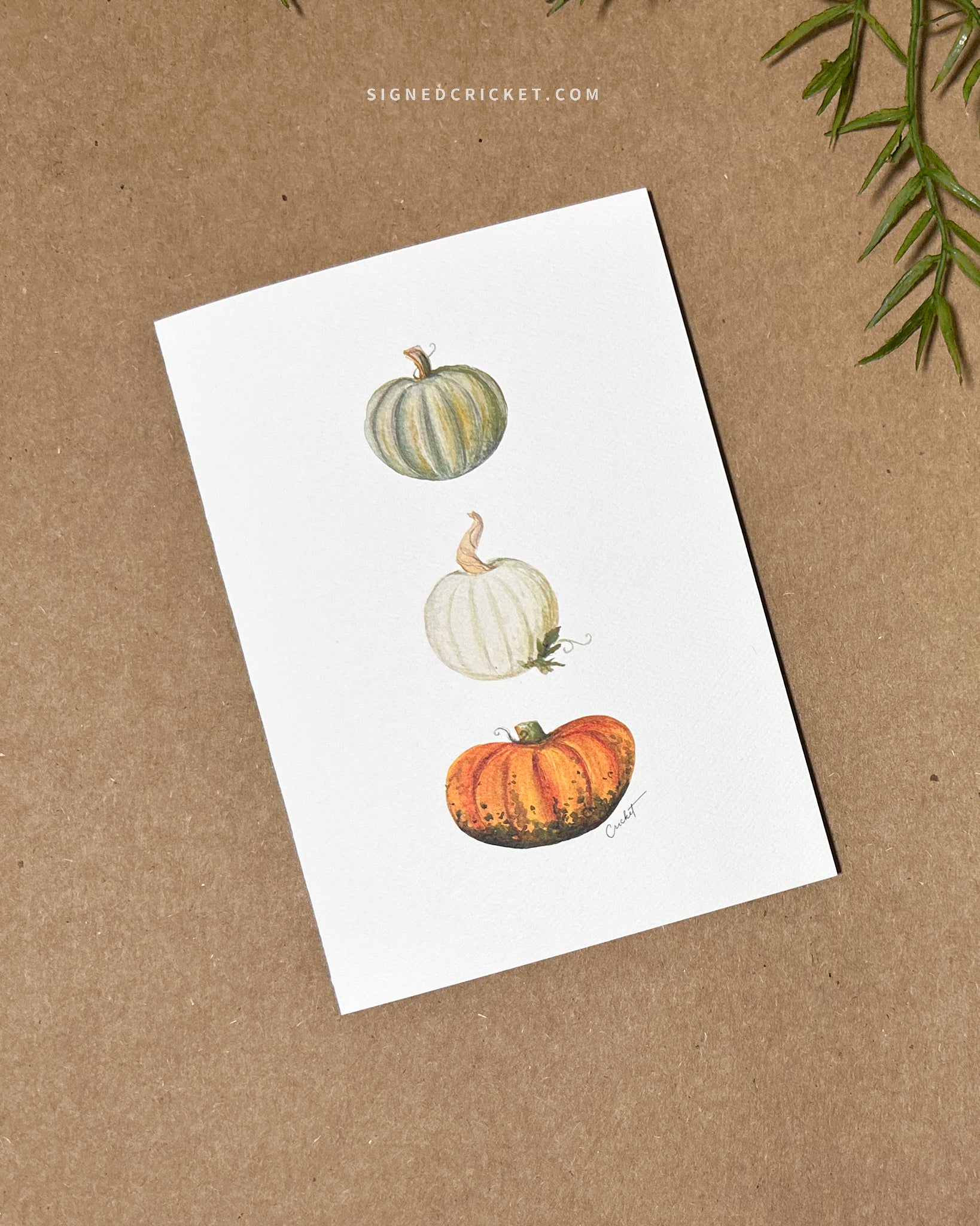 Greeting card with watercolor illustration of 3 realistic looking pumpkins (one green and yellow, one white, and one dark green and orange). 