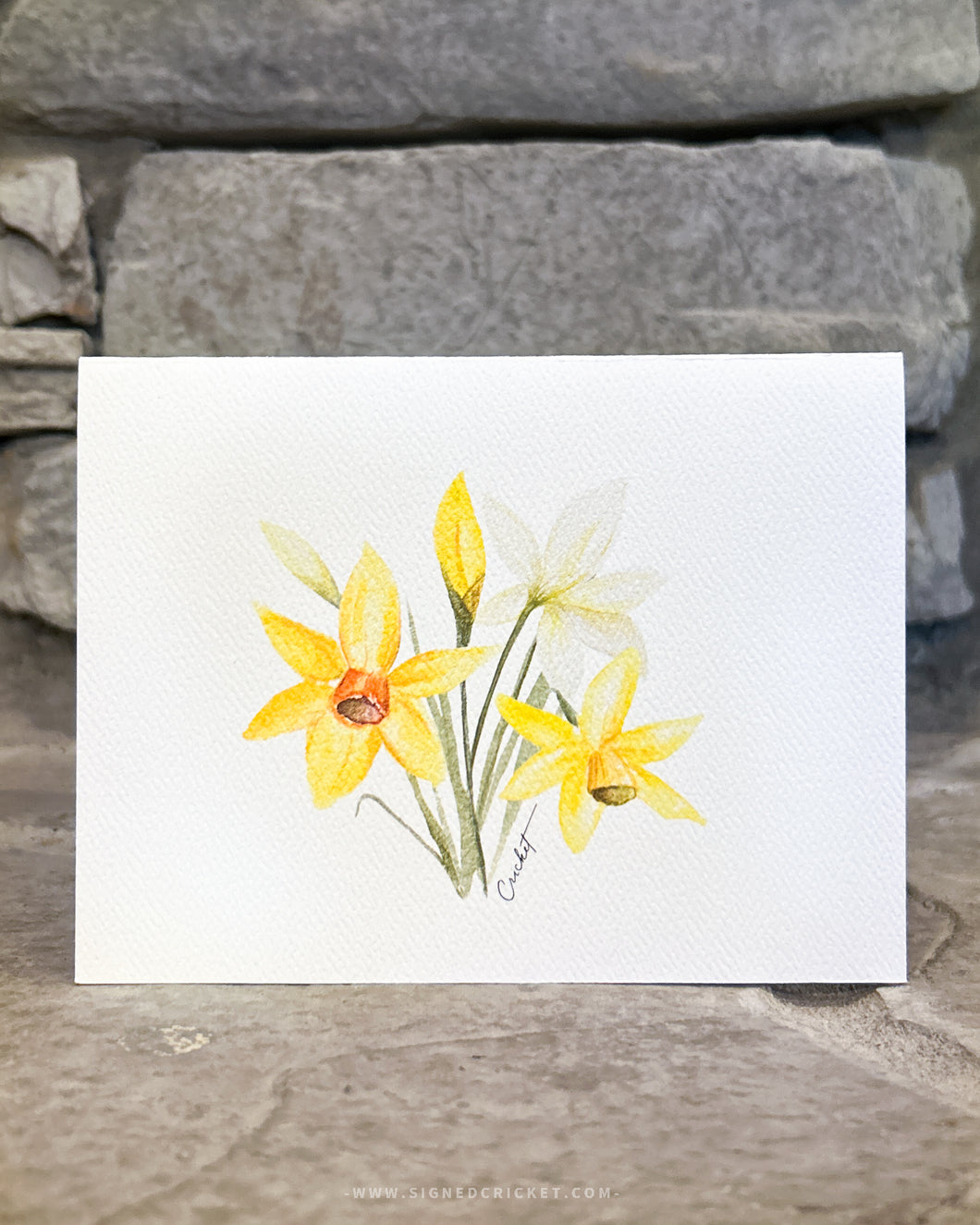 Daffodil Greeting Card (Landscape) - Set of 4 | Springing Hope Collection